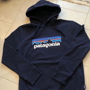 Patagonia hoodie, excellent condition, size small